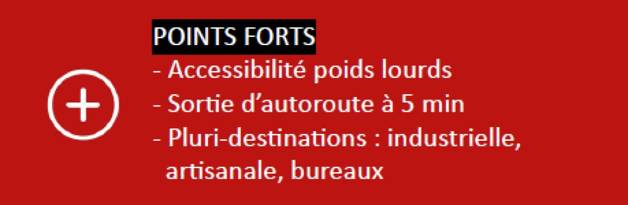 Local d'activité Guéreins 1247m² Vente local d'activité Guéreins Ain OVACT2309515 7